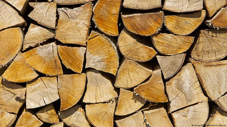 EU weighs up future of wood-burning as renewable energy
